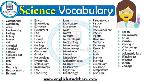 16 Synonyms & Antonyms for COMPUTER SCIENCE .